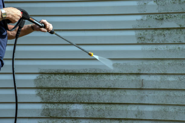 Best Driveway Pressure Washing  in Brass Castle, NJ